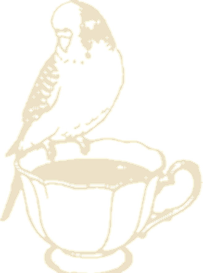 The Aurora Light seal — bird in a teacup