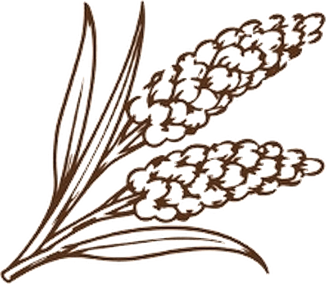 Golden wheat